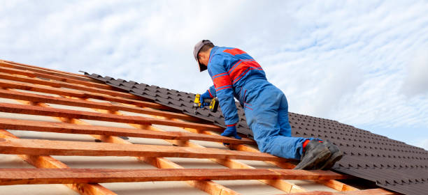 Best Roof Leak Repair  in Collegedale, TN